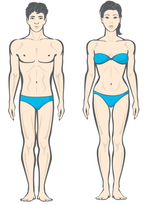 different body types of men and women mesomorph